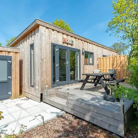 Chalet Chalet Studio Noor- Campanula - Sint Maartenszee *