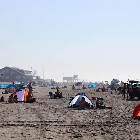 Alpehytte Noor- Campanula - Sint Maartenszee Sint Maartensvlotbrug