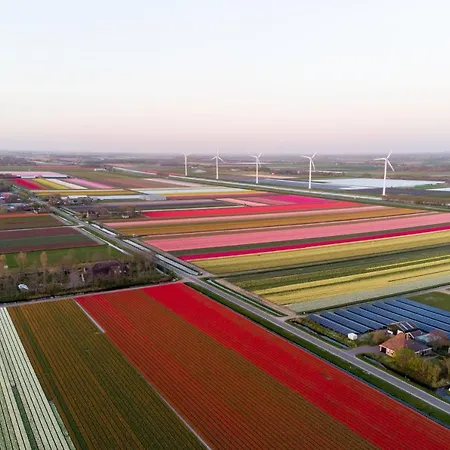 Noor- Campanula - Sint Maartenszee * Sint Maartensvlotbrug